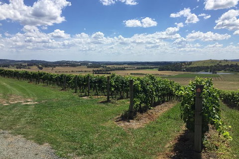 Yarra Valley Wine Tasting Tour - Attractions Brisbane 1
