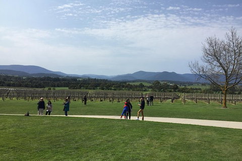 Yarra Valley Wine Tasting Tour - Attractions Brisbane 2