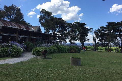 Yarra Valley Wine Tasting Tour - Attractions Brisbane 3