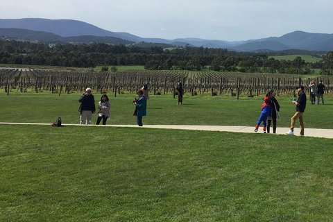 Yarra Valley Wine Tasting Tour - Attractions Brisbane 0