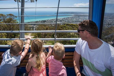 Enchanted Eagle Tour - Attractions Brisbane 1