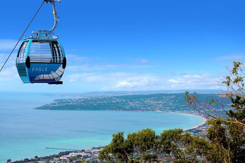 Enchanted Eagle Tour - Attractions Brisbane 9