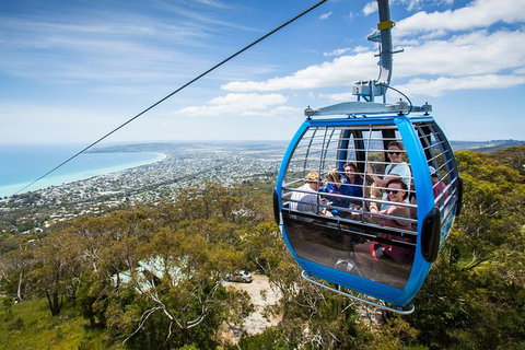 Enchanted Eagle Tour - Attractions Brisbane 3