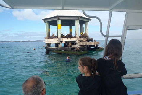 Sailing Cruise With Seals - Attractions Brisbane 0