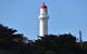 Great Ocean Road Tour Plus Koalas, Forest Walk And Morning Tea. - thumb 1