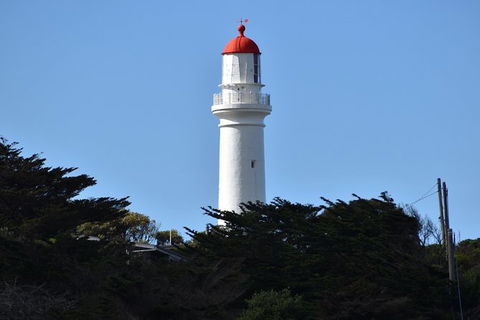 Great Ocean Road Tour Plus Koalas, Forest Walk And Morning Tea. - Attractions Brisbane 1