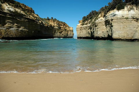 Great Ocean Road Tour Plus Koalas, Forest Walk And Morning Tea. - Attractions Brisbane 4