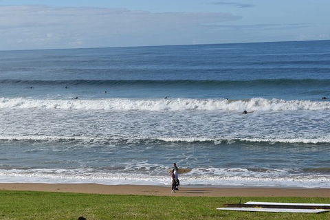 Great Ocean Road Tour Plus Koalas, Forest Walk And Morning Tea. - Attractions Brisbane 9