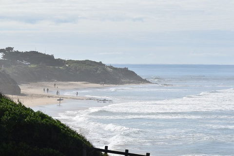 Great Ocean Road Tour Plus Koalas, Forest Walk And Morning Tea. - Attractions Brisbane 10