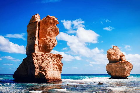 Great Ocean Road Tour Plus Koalas, Forest Walk And Morning Tea. - Attractions Brisbane 11
