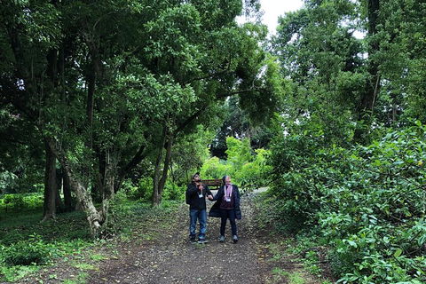 Alices Journeys Guided Walking Tours Of Daylesford - Attractions Brisbane 5