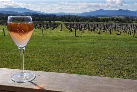 Yarra Valley: 7 Hours Guided Wine Tour With 2-Course Lunch - Attractions Brisbane 0