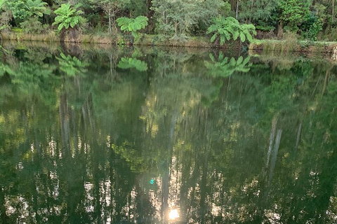 Hiking Tour To Aqueduct And Warburton Valley Lookout - Attractions Brisbane 2