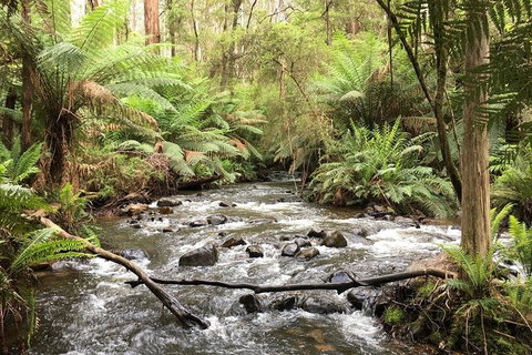Private Aqueduct To California Redwoods Hiking Tour - Attractions Brisbane 3