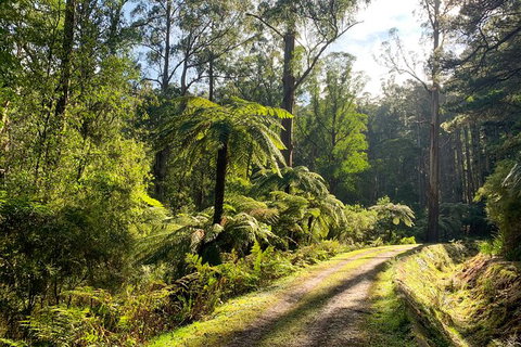 Private Aqueduct To California Redwoods Hiking Tour - Attractions Brisbane 0