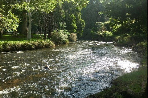 Watertube Experience In Yarra River - Attractions Brisbane 3