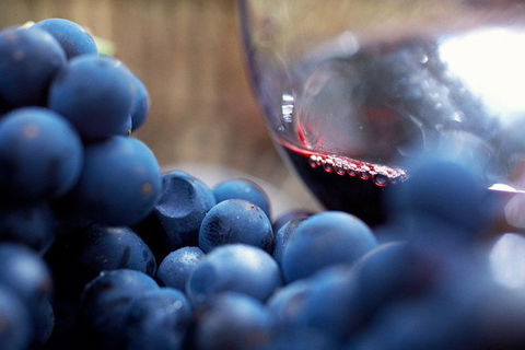 Mornington Peninsula 2-6 Guests Lunch Rare Hare Or Merricks General Wine Store - Attractions Brisbane 7