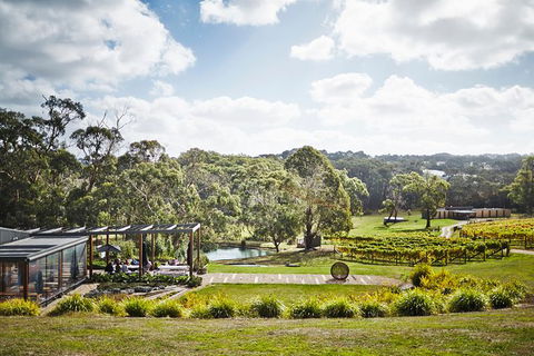 Mornington Peninsula 2-6 Guests Lunch At Merricks General Wine Store Or RareHare - Attractions Brisbane 1