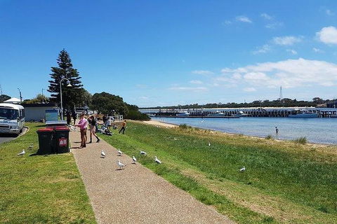 Phillip Island Penguin And Wildlife Tour - Attractions Brisbane 25