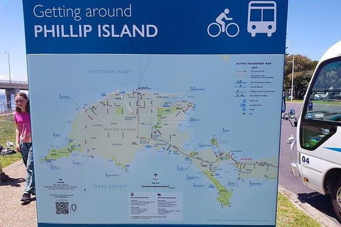 Phillip Island Penguin And Wildlife Tour - Attractions Brisbane 28