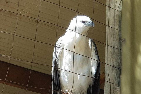 Phillip Island Penguin And Wildlife Tour - Attractions Brisbane 21