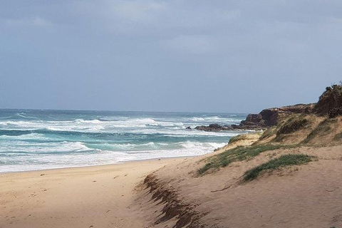 Phillip Island Penguin And Wildlife Tour - Attractions Brisbane 10