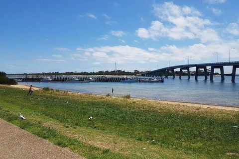 Phillip Island Penguin And Wildlife Tour - Attractions Brisbane 24