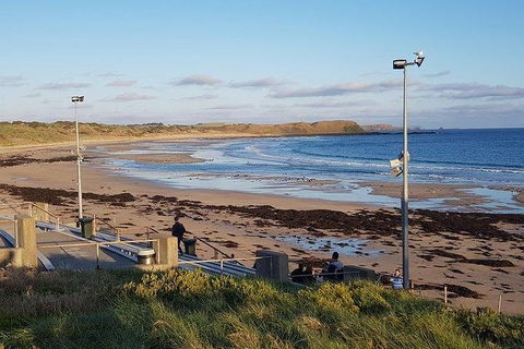 Phillip Island Penguin And Wildlife Tour - Attractions Brisbane 8