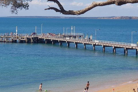 Phillip Island Penguin And Wildlife Tour - Attractions Brisbane 2