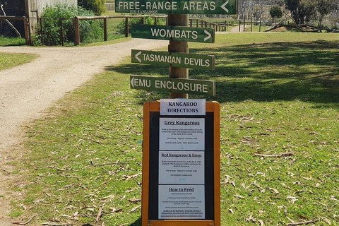 Phillip Island Penguin And Wildlife Tour - Attractions Brisbane 4