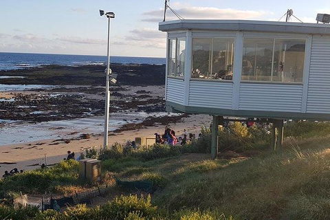 Phillip Island Penguin And Wildlife Tour - Attractions Brisbane 33