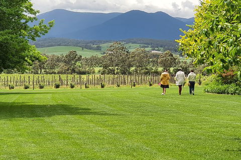 Yarra Valley Wine Tasting Day Tour From Melbourne - Attractions Brisbane 6