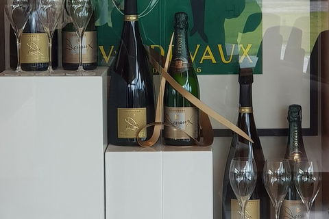 Yarra Valley Wine Tasting Day Tour From Melbourne - Attractions Brisbane 2