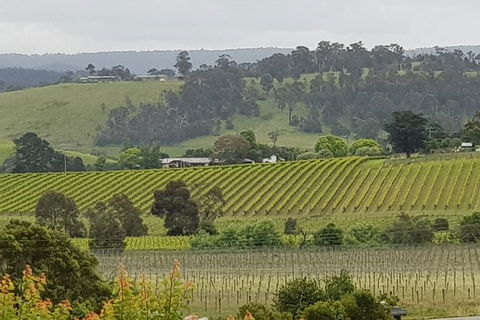 Yarra Valley Wine Tasting Day Tour From Melbourne - Attractions Brisbane 0