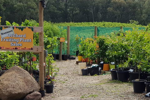 Yarra Valley Wineries And Rayners Orchard Tour From Melbourne - Attractions Brisbane 0