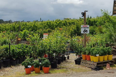 Yarra Valley Wineries And Rayners Orchard Tour From Melbourne - Attractions Brisbane 22