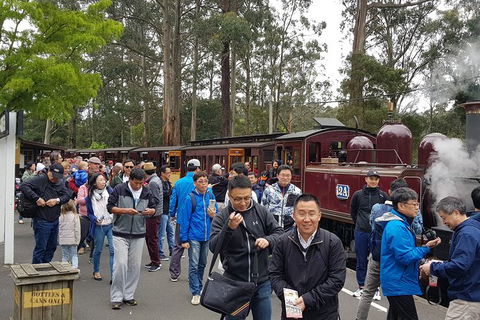 Day Tour Of Yarra Valley Puffing Billy And Rayners Orchard - Attractions Brisbane 3