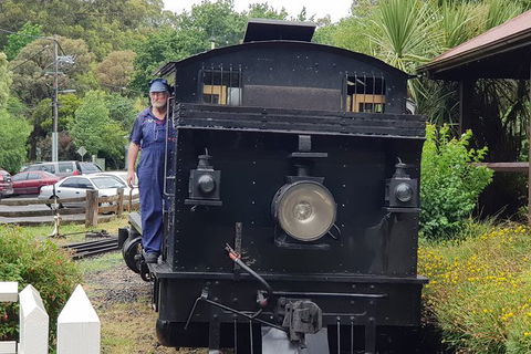 Day Tour Of Yarra Valley Puffing Billy And Rayners Orchard - Attractions Brisbane 11