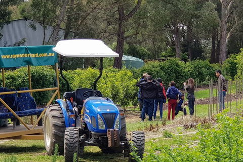Day Tour Of Yarra Valley Puffing Billy And Rayners Orchard - Attractions Brisbane 10