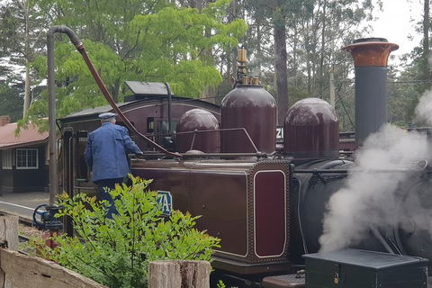 Day Tour Of Yarra Valley Puffing Billy And Rayners Orchard - Attractions Brisbane 5
