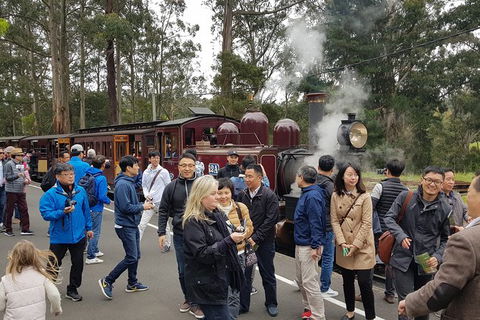 Day Tour Of Yarra Valley Puffing Billy And Rayners Orchard - Attractions Brisbane 18