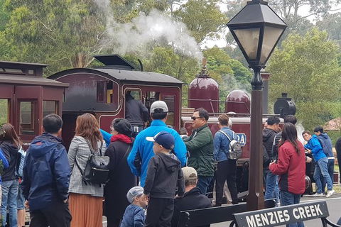 Day Tour Of Yarra Valley Puffing Billy And Rayners Orchard - Attractions Brisbane 40