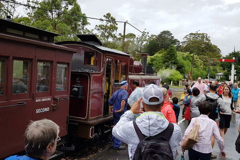 Day Tour Of Yarra Valley Puffing Billy And Rayners Orchard - Attractions Brisbane 23