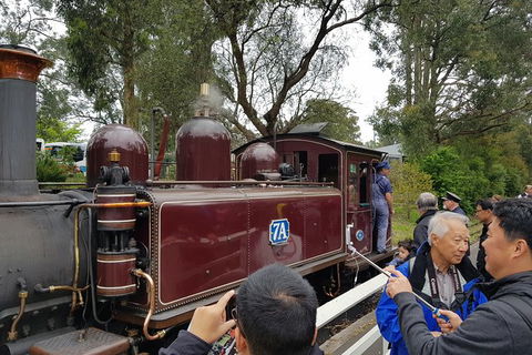 Day Tour Of Yarra Valley Puffing Billy And Rayners Orchard - Attractions Brisbane 28