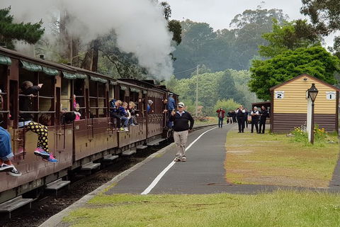 Day Tour Of Yarra Valley Puffing Billy And Rayners Orchard - Attractions Brisbane 0