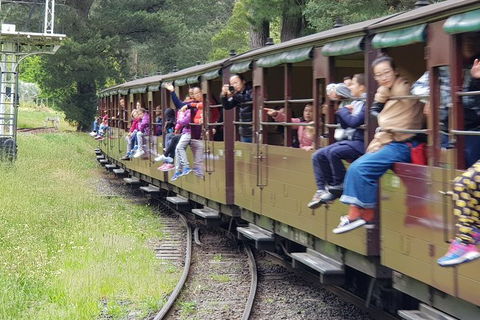 Day Tour Of Yarra Valley Puffing Billy And Rayners Orchard - Attractions Brisbane 13