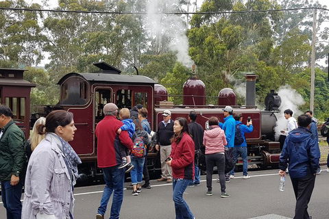 Day Tour Of Yarra Valley Puffing Billy And Rayners Orchard - Attractions Brisbane 4