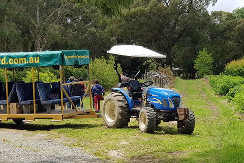 Day Tour Of Yarra Valley Puffing Billy And Rayners Orchard - Attractions Brisbane 25