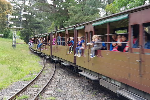 Day Tour Of Yarra Valley Puffing Billy And Rayners Orchard - Attractions Brisbane 24