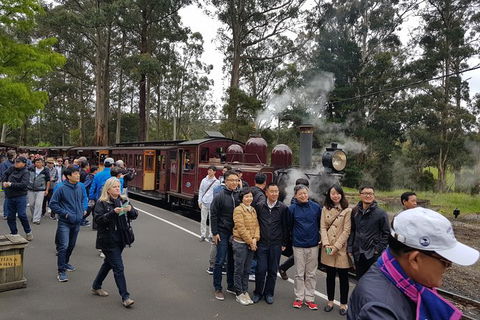 Day Tour Of Yarra Valley Puffing Billy And Rayners Orchard - Attractions Brisbane 9